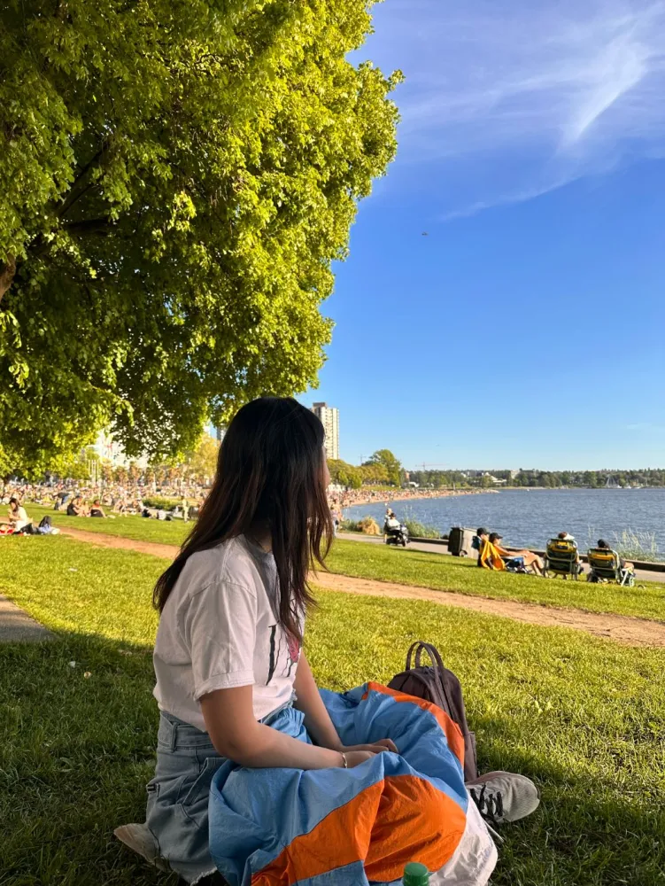 Rosie sitting on the grass under a tree, looking out at a busy waterfront beach on a sunny day